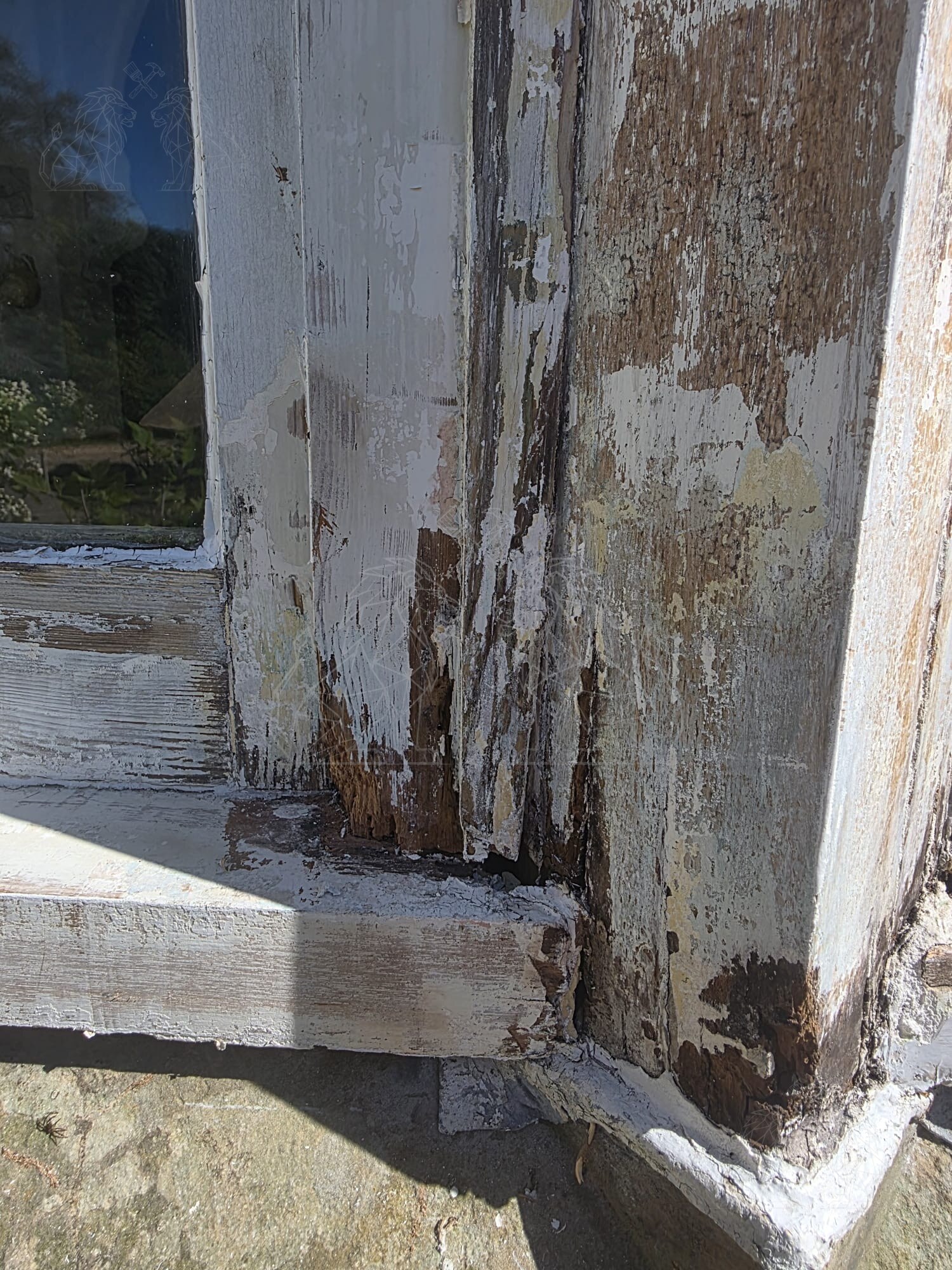 Timber decay treatment